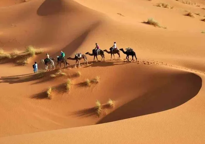 Sahara desert tour from Casablanca to Marrakech