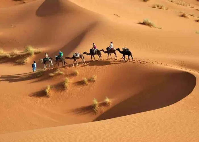 Sahara desert tour from Casablanca to Marrakech